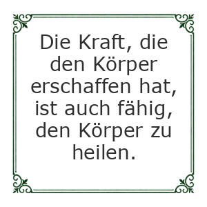 Spruch