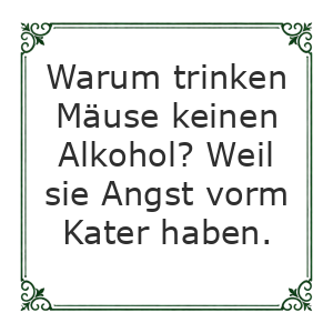 Spruch