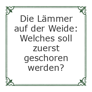 Spruch