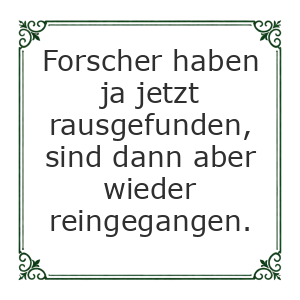 Spruch