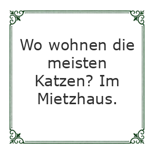 Spruch
