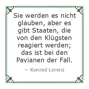 Spruch