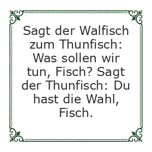 Spruch