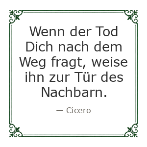 Spruch
