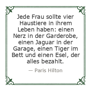 Spruch
